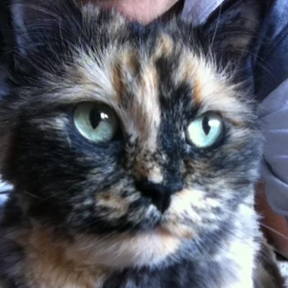 Meet your Posher, Irene - Picture 1 of 1